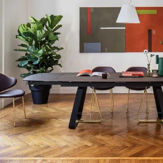 Sedia in pelle con struttura in ottole lucido Holly di Calligaris