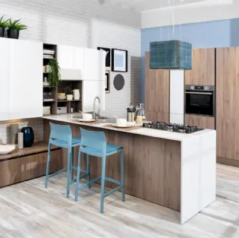 Cucina Moderna Ank finitura Rovere Corteccia e laccato Bianco opaco di Creo